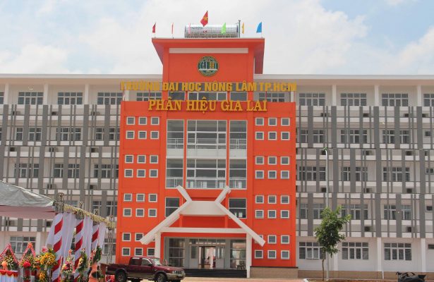 Đại học Nông lâm TPHCM Phân hiệu Gia Lai
